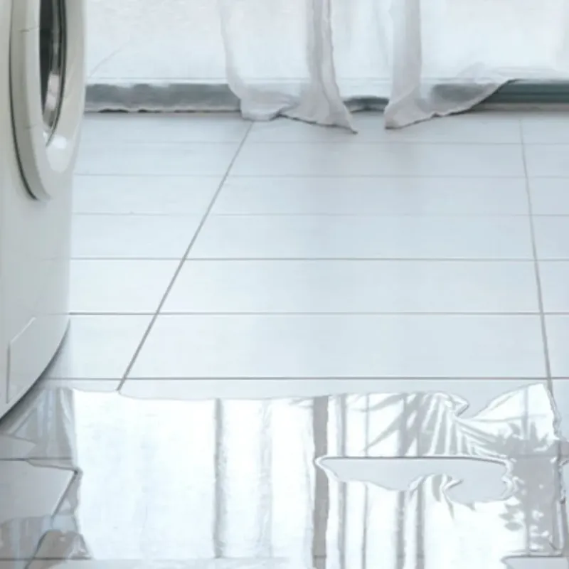 Appliance Leak Cleanup in Glendale, MS