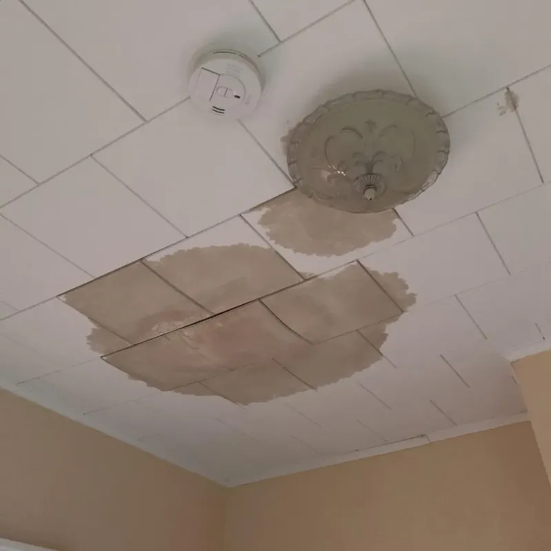 Ceiling Water Damage Repair in Glendale, MS