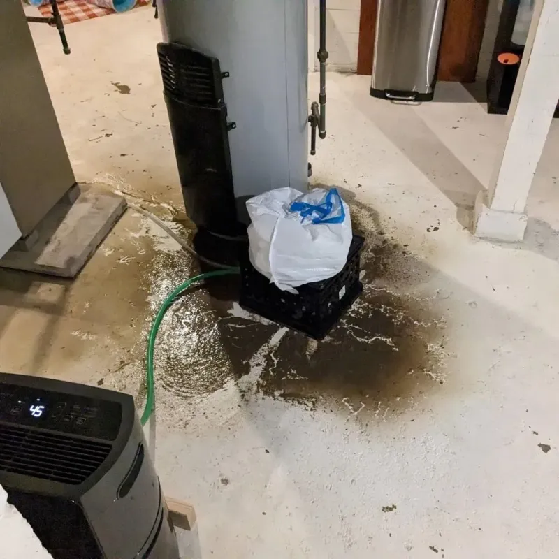 Sewage Backup Cleanup Service in Glendale, MS